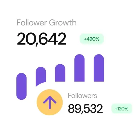 example diagram for increasement of followers